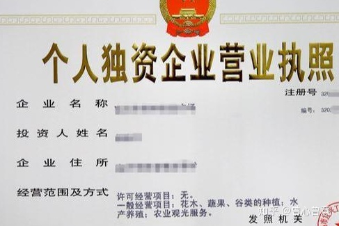 個人獨(dú)資企業(yè)的稅收籌劃(個人獨(dú)資 企業(yè)非法人)