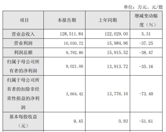 財務(wù)費用分析(費用財務(wù)預(yù)算表格式)