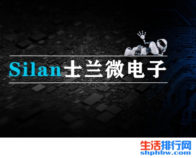 芯片上市公司(上市集團(tuán)旗下公司再上市)(圖9)