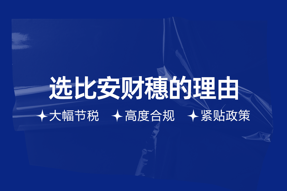 個(gè)人稅務(wù)籌劃(個(gè)人稅務(wù)與遺產(chǎn)籌劃過關(guān)必做1500題)