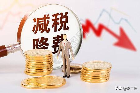 稅務(wù)籌劃節(jié)稅(個人稅務(wù)與遺產(chǎn)籌劃)