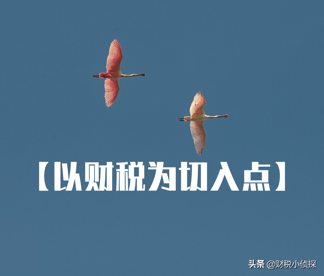 財稅籌劃(企業(yè)財稅實務(wù)與財稅基礎(chǔ)知識)