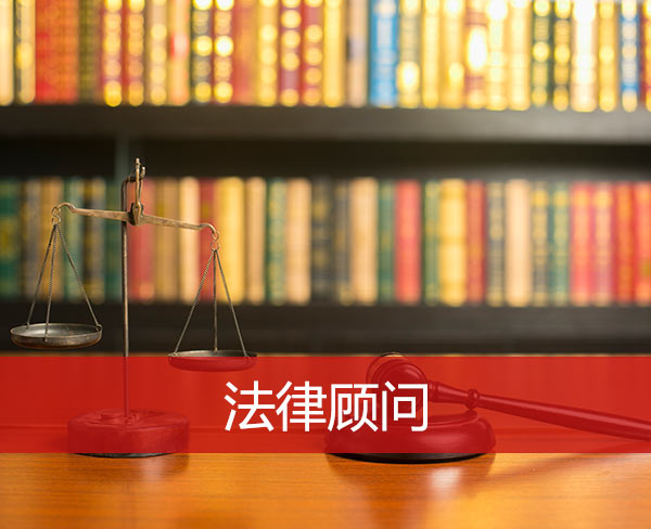 企業(yè)常年財務(wù)顧問